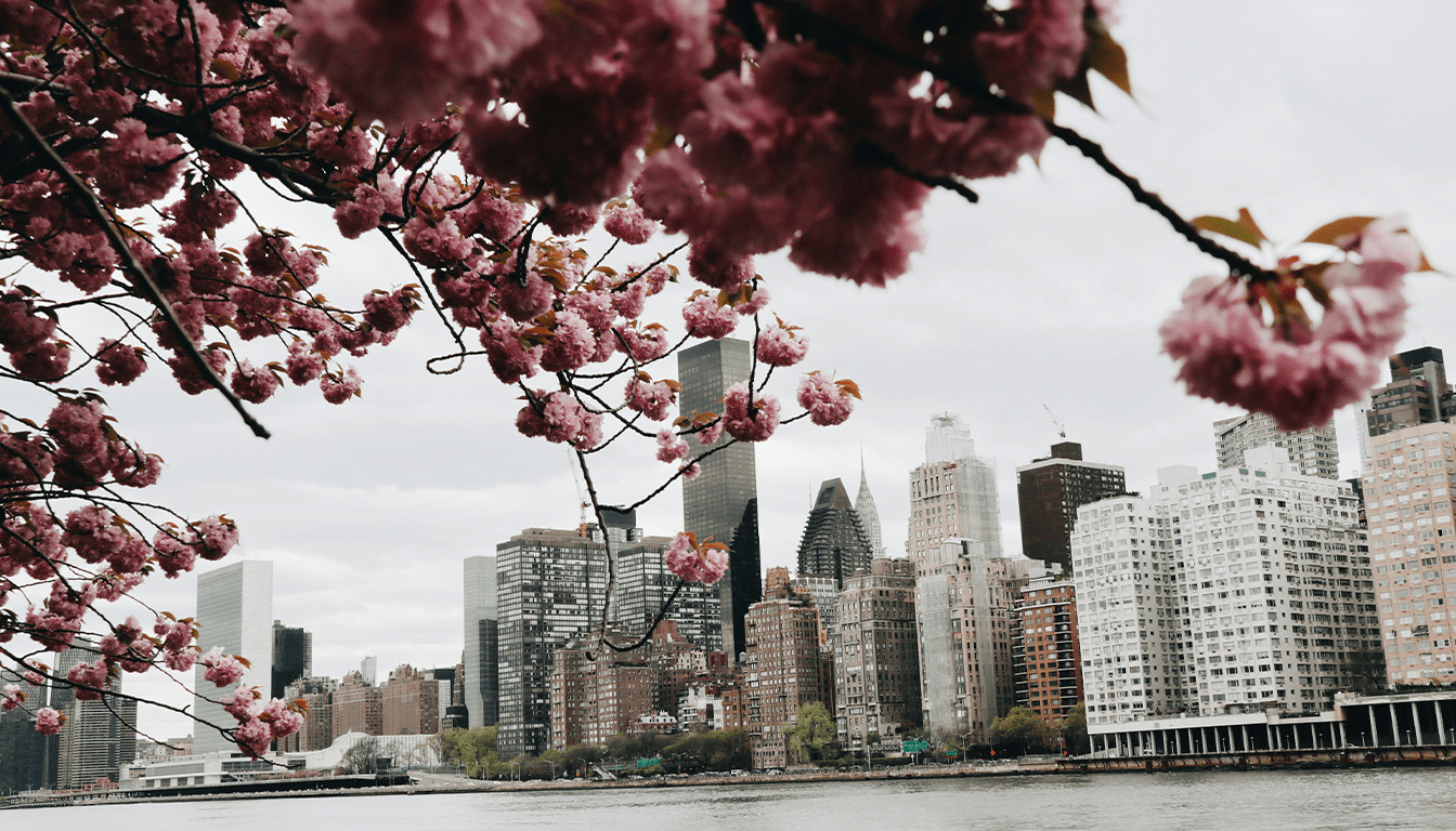 NYC Spring